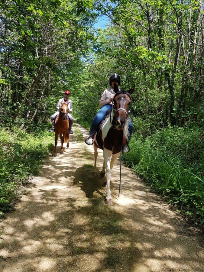 Gite Equestre Domaine Des Crins - Monpazier Capdrot 外观 照片