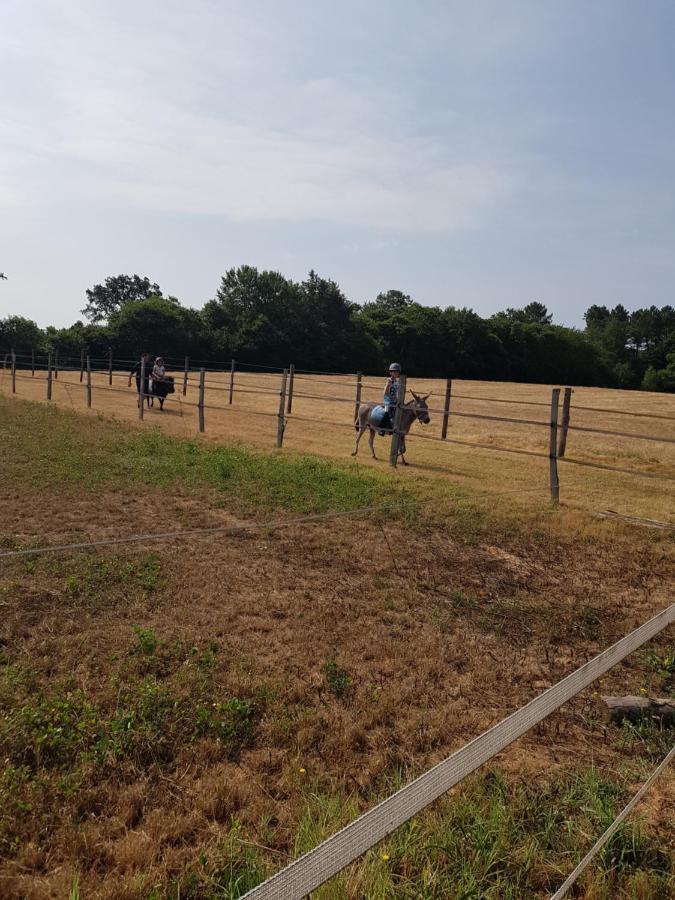 Gite Equestre Domaine Des Crins - Monpazier Capdrot 外观 照片