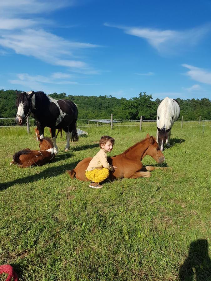 Gite Equestre Domaine Des Crins - Monpazier Capdrot 外观 照片