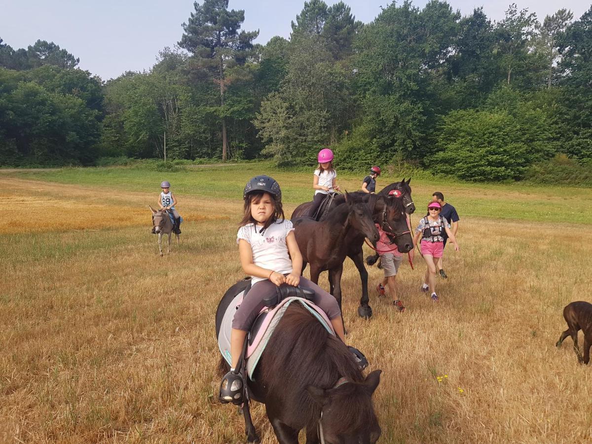 Gite Equestre Domaine Des Crins - Monpazier Capdrot 外观 照片