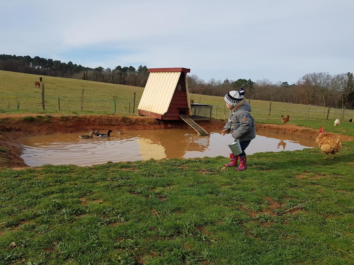 Gite Equestre Domaine Des Crins - Monpazier Capdrot 外观 照片