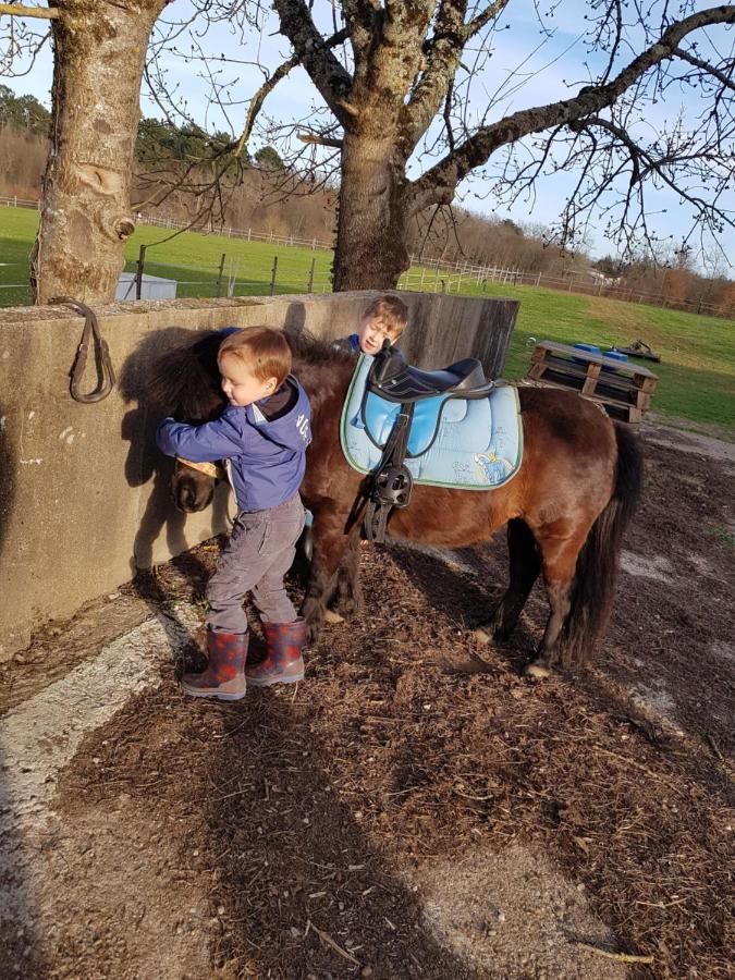 Gite Equestre Domaine Des Crins - Monpazier Capdrot 外观 照片