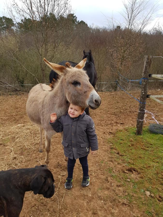 Gite Equestre Domaine Des Crins - Monpazier Capdrot 外观 照片