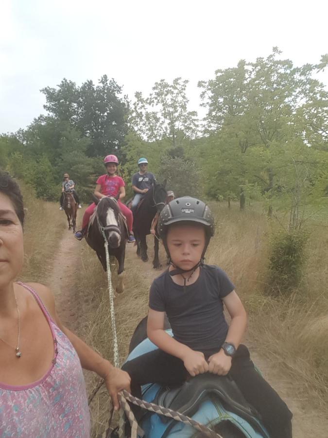 Gite Equestre Domaine Des Crins - Monpazier Capdrot 外观 照片