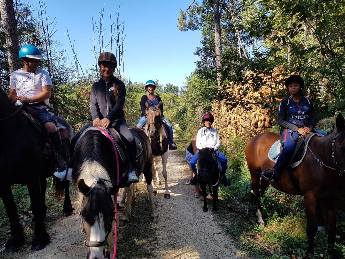 Gite Equestre Domaine Des Crins - Monpazier Capdrot 外观 照片