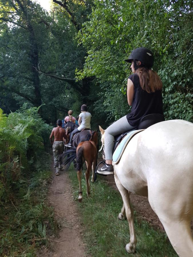 Gite Equestre Domaine Des Crins - Monpazier Capdrot 外观 照片