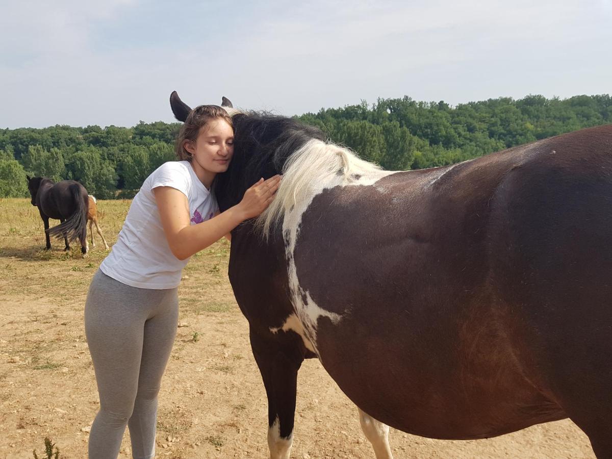 Gite Equestre Domaine Des Crins - Monpazier Capdrot 外观 照片