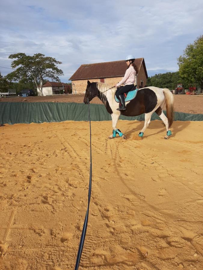 Gite Equestre Domaine Des Crins - Monpazier Capdrot 外观 照片