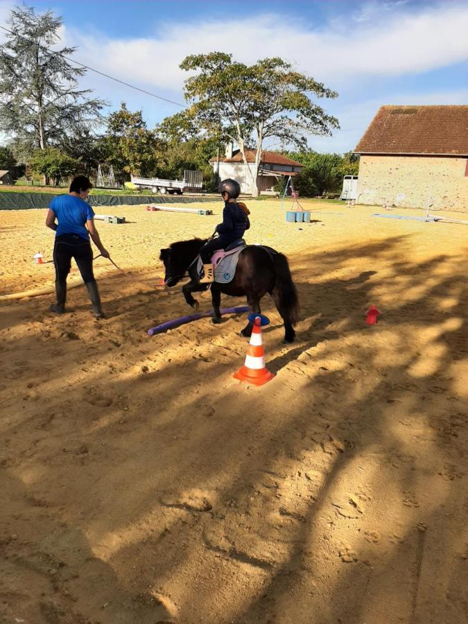 Gite Equestre Domaine Des Crins - Monpazier Capdrot 外观 照片