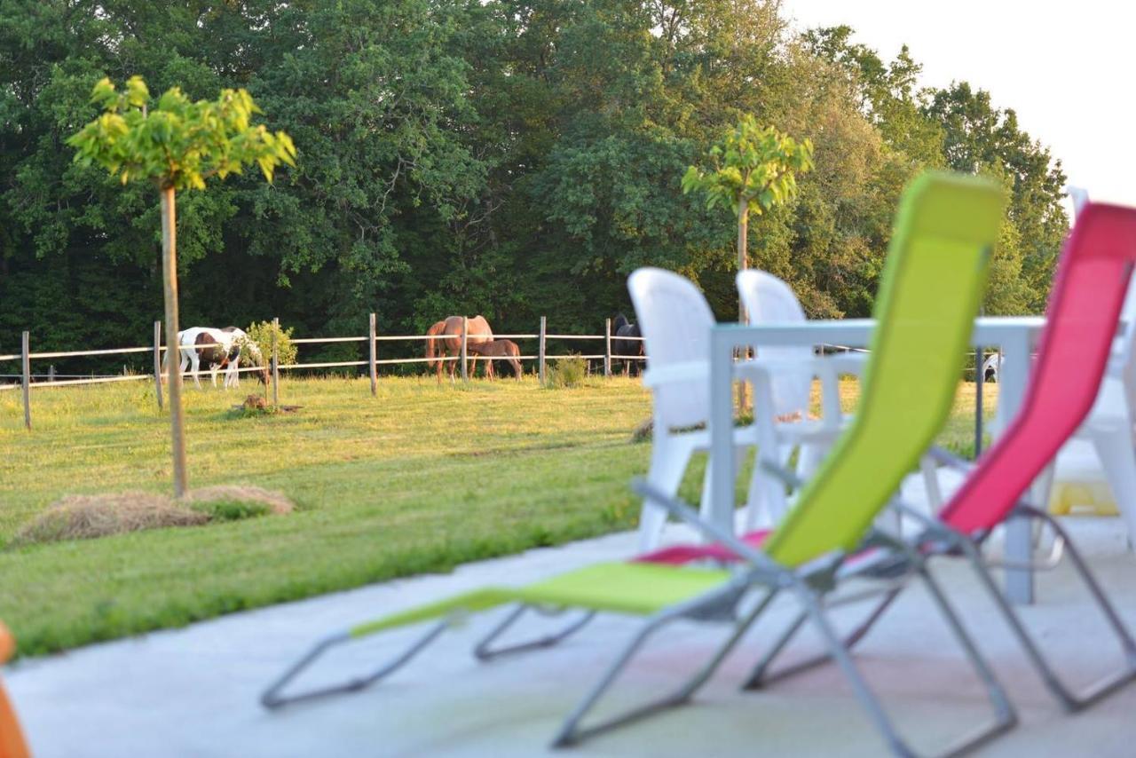 Gite Equestre Domaine Des Crins - Monpazier Capdrot 外观 照片