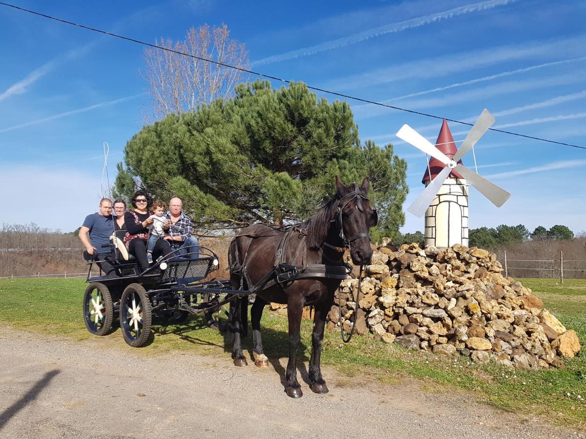 Gite Equestre Domaine Des Crins - Monpazier Capdrot 外观 照片