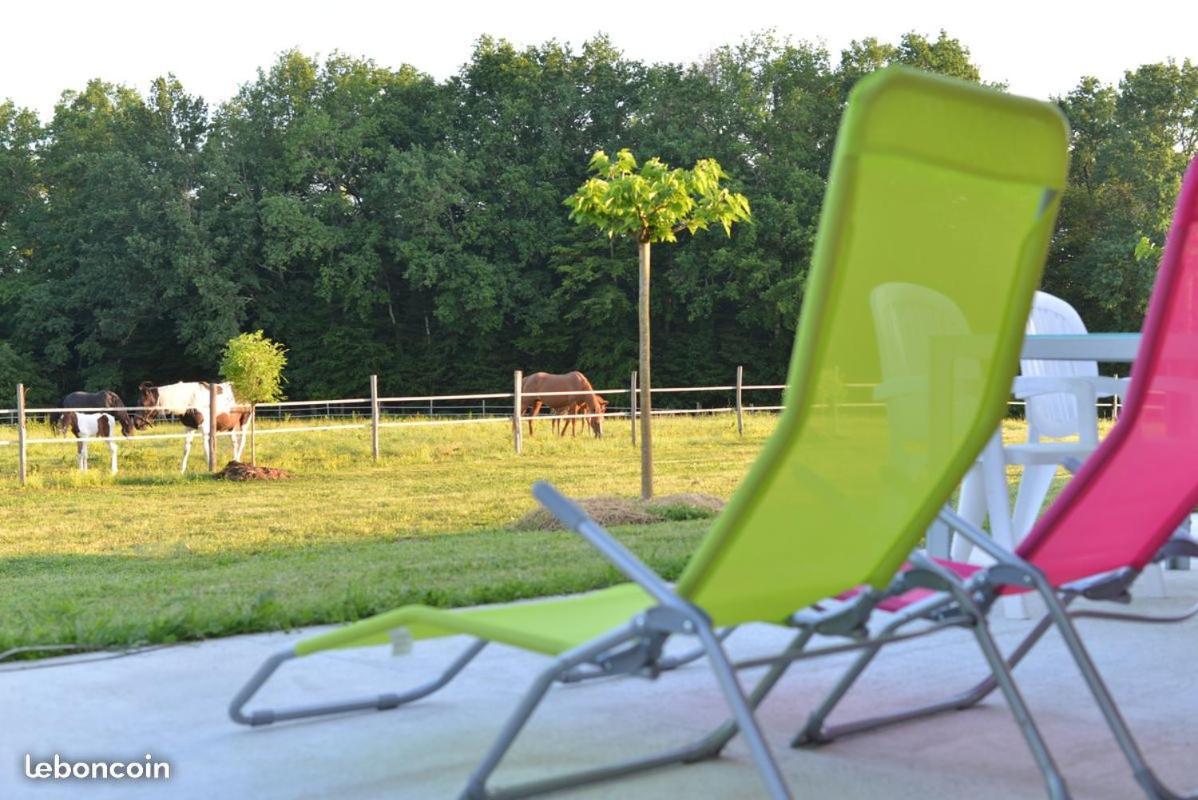 Gite Equestre Domaine Des Crins - Monpazier Capdrot 外观 照片